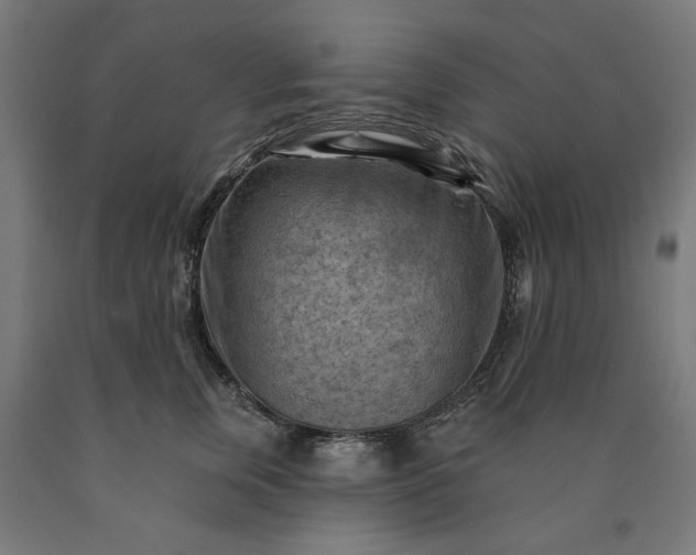 X0000090630759200707311305