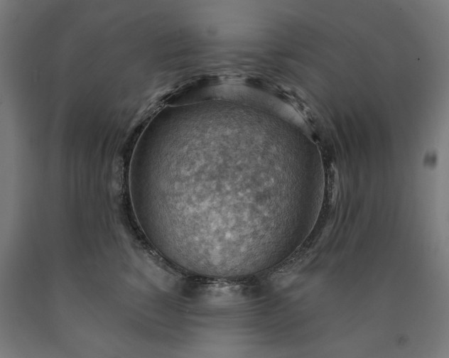 X0000090630760200707311305