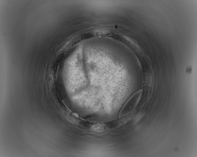 X0000090630761200707311305