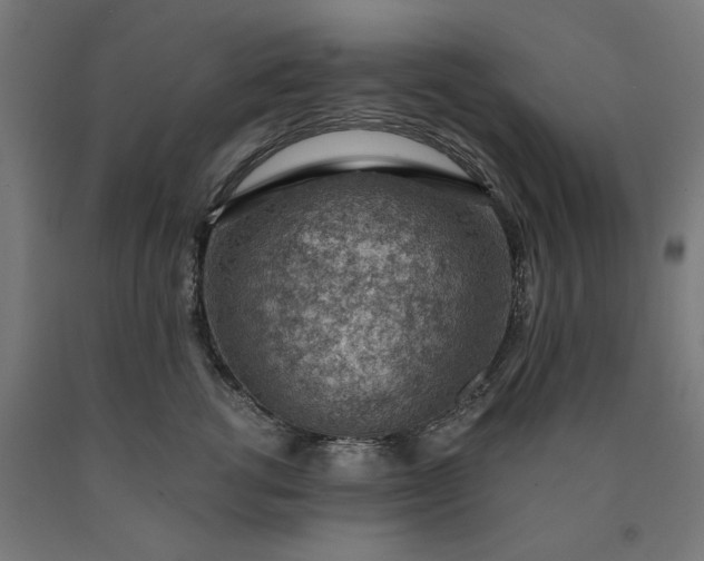 X0000090630762200707311305