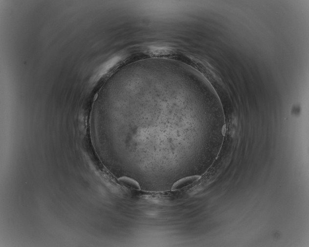X0000090630763200707311305