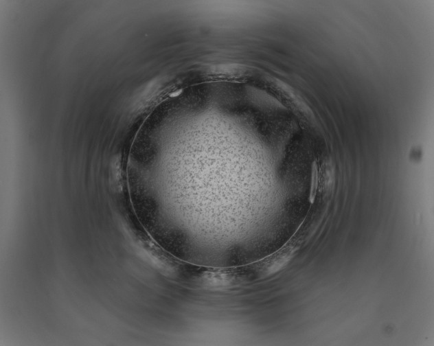 X0000090630764200707311305