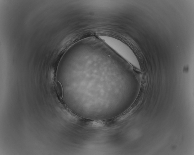 X0000090630765200707311305