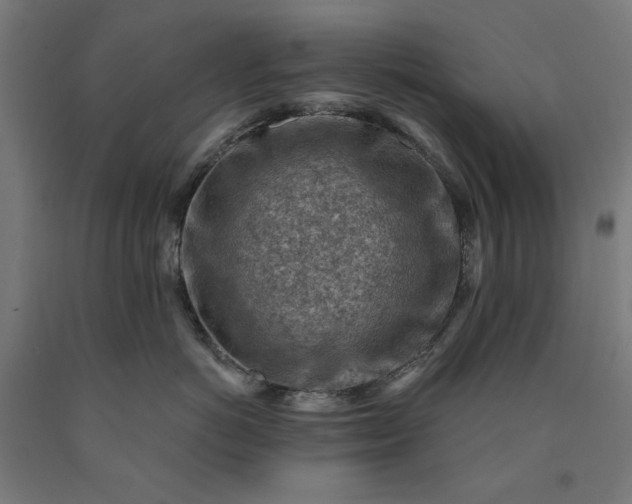 X0000090630766200707311305
