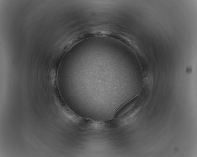X0000090630767200707311305