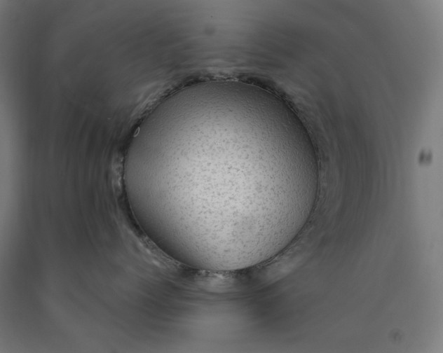 X0000090630768200707311305