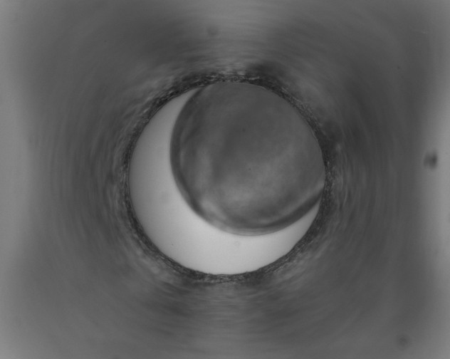 X0000090630769200707311304
