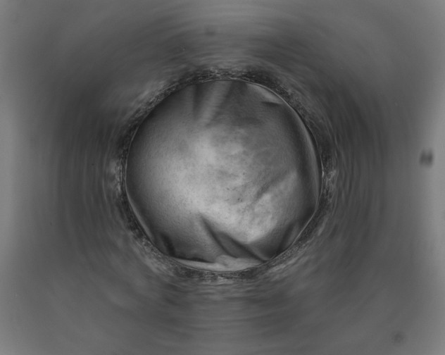 X0000090630772200707311304