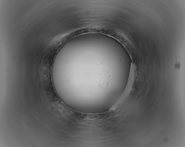 X0000090630773200707311304