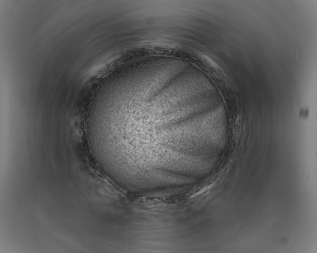 X0000090630774200707311304