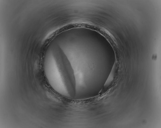 X0000090630775200707311304