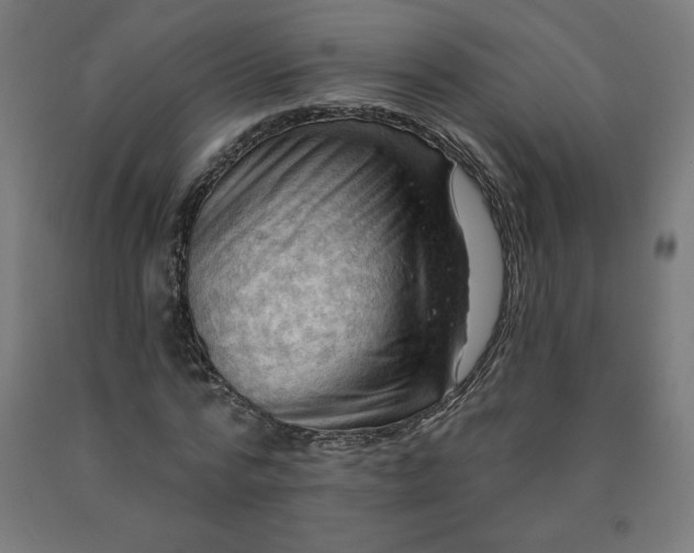 X0000090630776200707311304
