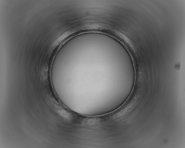 X0000090630778200707311304