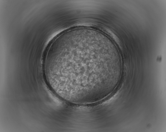 X0000090630779200707311304
