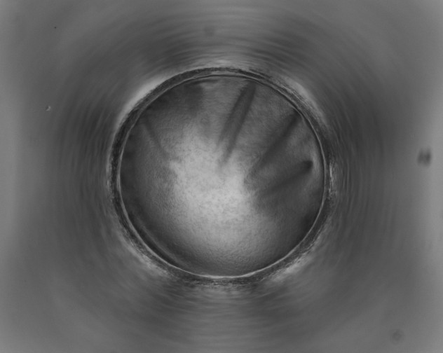 X0000090630780200707311304