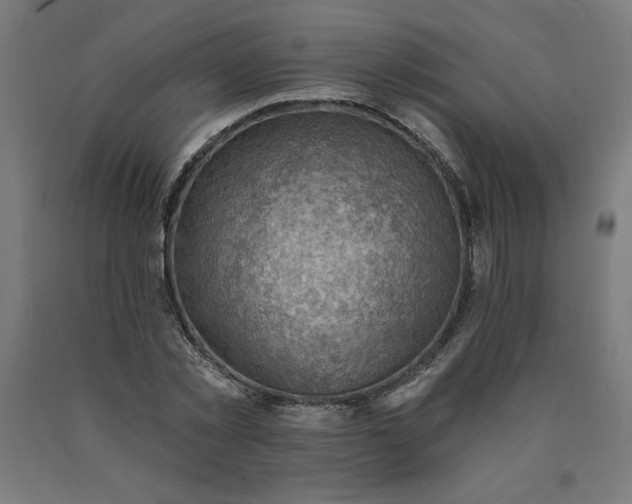 X0000090630781200707311304