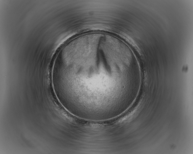 X0000090630782200707311304
