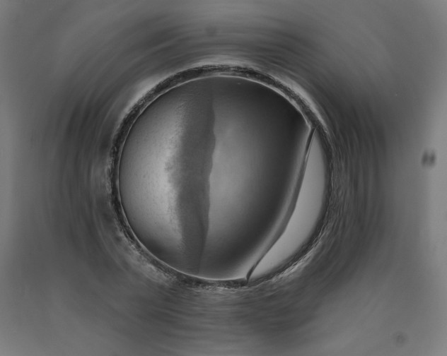 X0000090630783200707311304