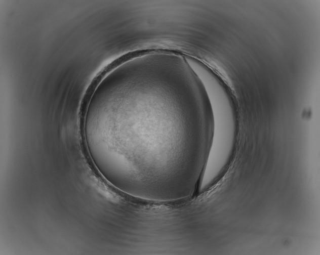 X0000090630784200707311304