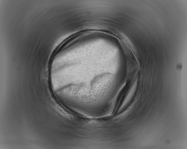 X0000090630787200707311304