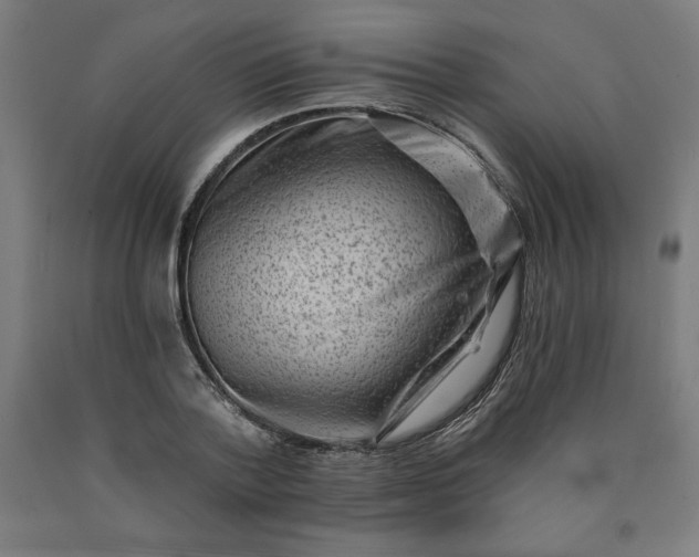 X0000090630788200707311304