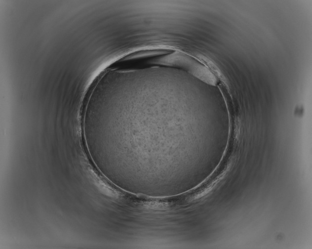 X0000090630789200707311304