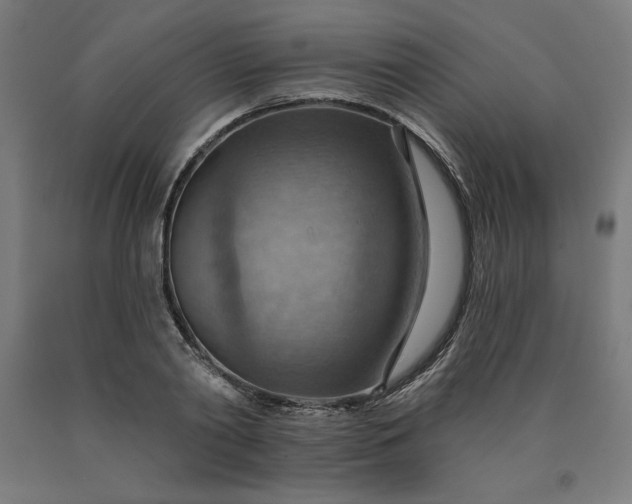 X0000090630790200707311304