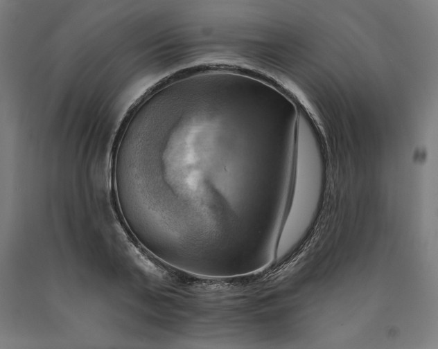 X0000090630791200707311304
