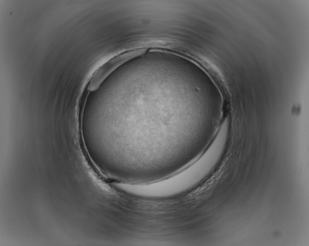 X0000090630792200707311304