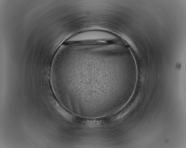 X0000090630793200707311304