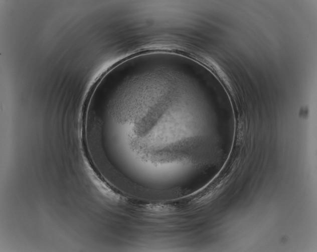 X0000090630795200707311304
