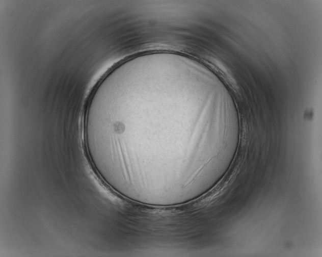 X0000090630796200707311304