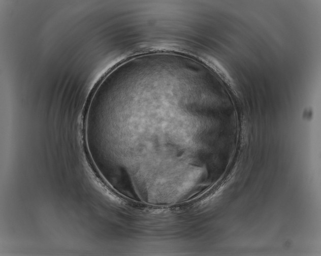 X0000090630798200707311304