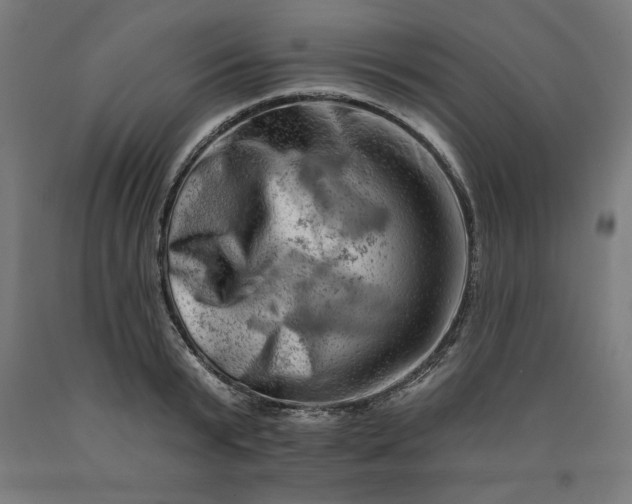 X0000090630799200707311304