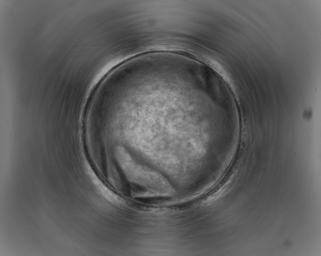 X0000090630803200707311304