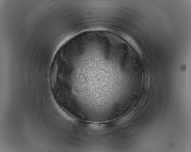 X0000090630805200707311304