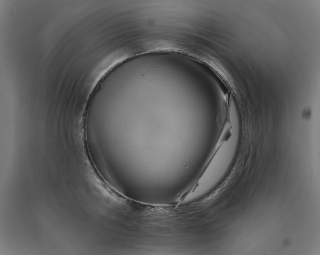 X0000090630806200707311304