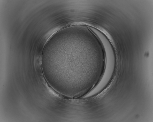 X0000090630809200707311304