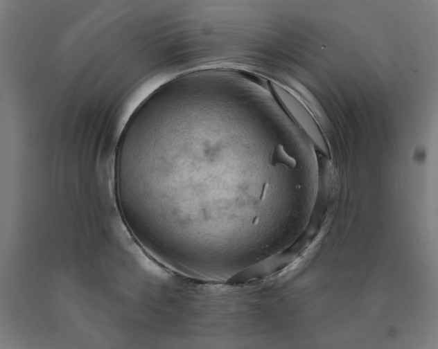 X0000090630812200707311304
