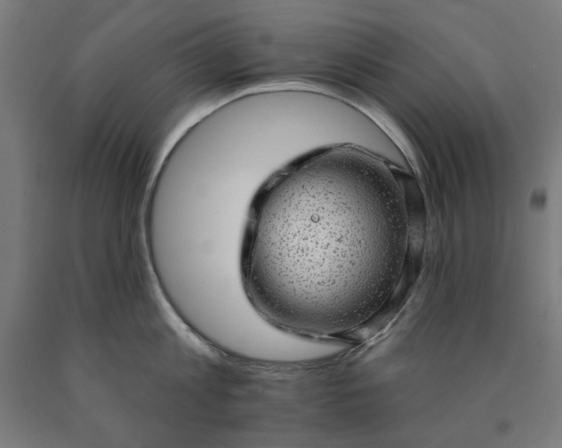 X0000090630813200707311304