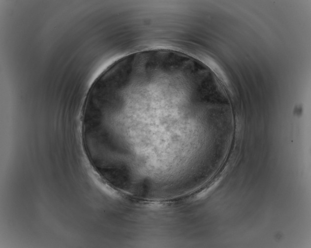 X0000090630814200707311304