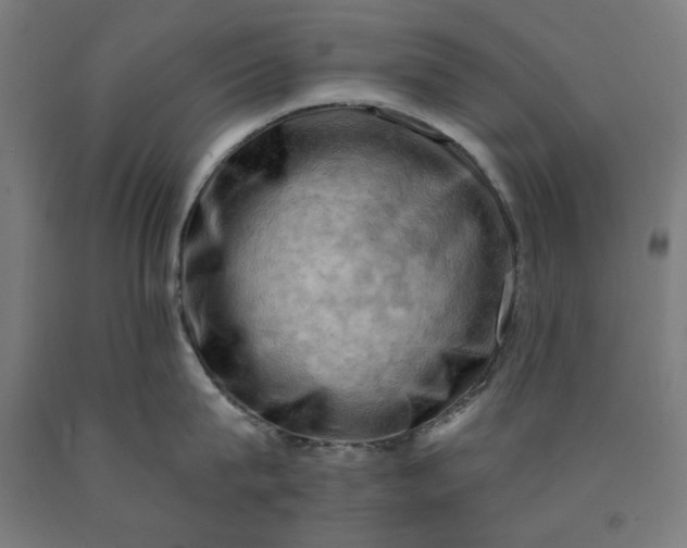 X0000090630815200707311304