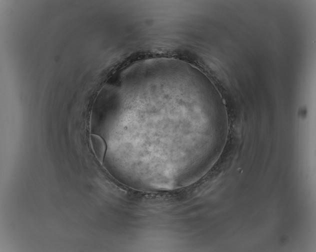 X0000090630817200707311303