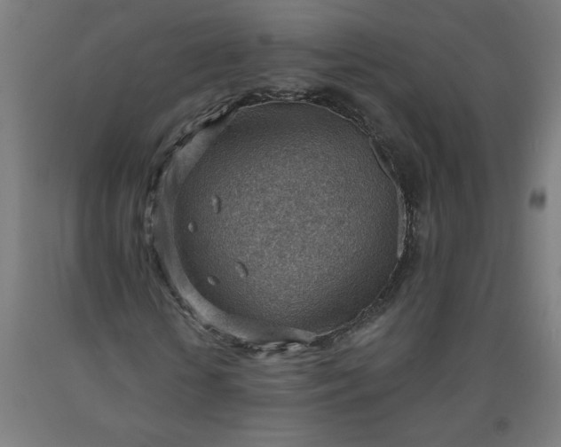 X0000090630818200707311303