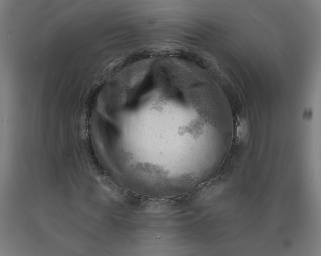 X0000090630819200707311303