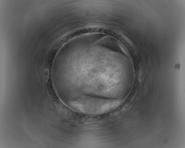 X0000090630821200707311303