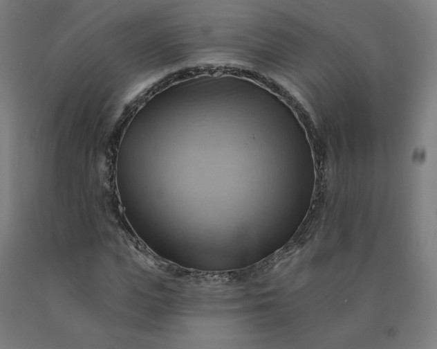 X0000090630823200707311303