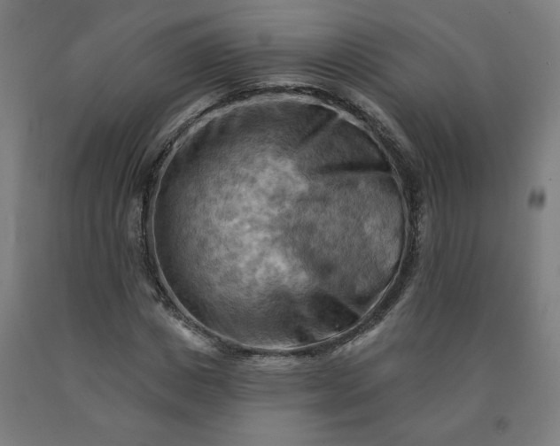 X0000090630825200707311303