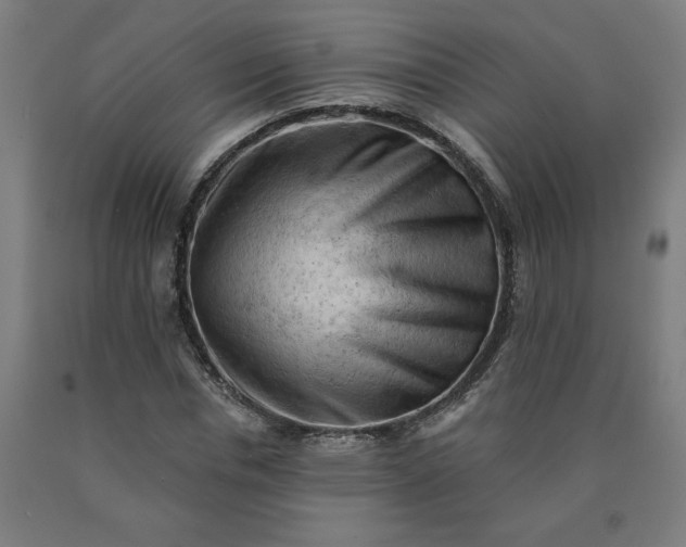 X0000090630826200707311303