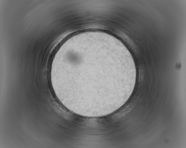 X0000090630828200707311303